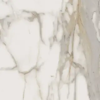 Italon Керамический гранит Charme Evo Floor Project Керамогранит Calacatta 60x60 натуральный