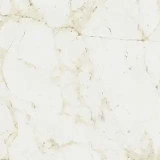 Coliseum Canova Керамогранит White 60x60 натуральный
