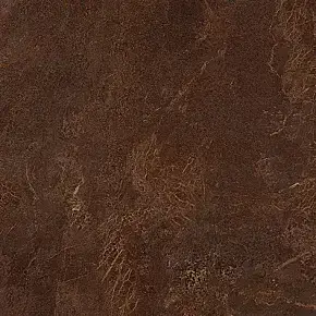 Fancy Lapp / Фенси Лапп