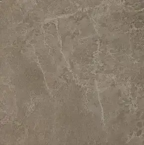 Grey Lapp / Грей Лапп