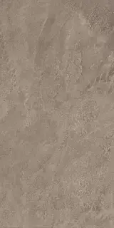 Grey Lapp / Грей Лапп