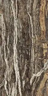 Epos Jurassic Polished