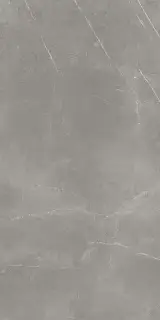 Elegant Grey Сатинированная