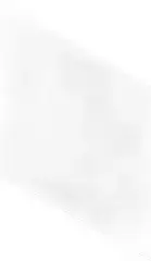 Diamond Pure White (30 Вариантов Тона)