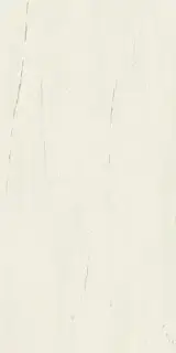 Bianco Dolomite Lapp Лаппатированный