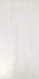 Bianco Dolomite Lapp Лаппатированный