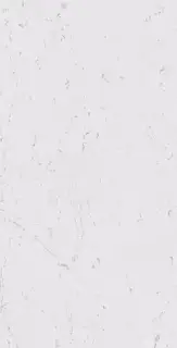 Carrara Pure Lapp Лаппатированный