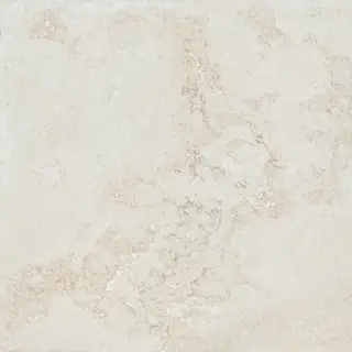 COLORKER ELEMENTS BONE 59.5х59.5 M-70