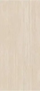 PORCELANOSA XLIGHT TARANTO BONE TEXTURE 120х270 G-2511