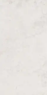 COLORKER ALTHEA MOON 59.5х119.2 M-83