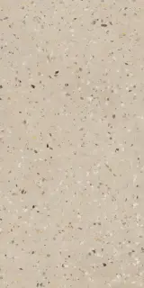 MIRAGE TERRAZZO CARIBBEAN RO 12 SP SQ 60х119.7x0.8