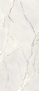 TERZADIMENSIONE PLATINUM POLISHED 120х280x0.6