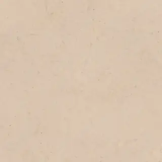 PORCELANOSA DORCIA MARFIL L 80х80 G-369