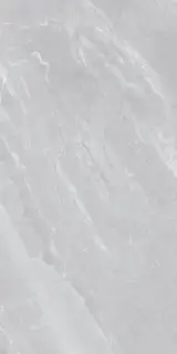 MUSEUM MAINSTONE DOLPHIN 60х120 NT M-66