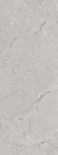 PORCELANOSA LUCERNA ACERO 45х120 G-270
