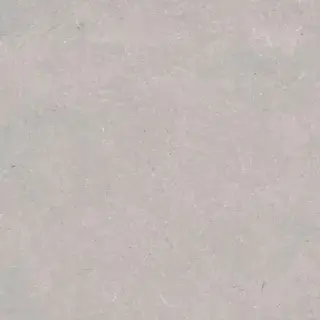 PORCELANOSA CORAL ACERO L 120х120 G-392