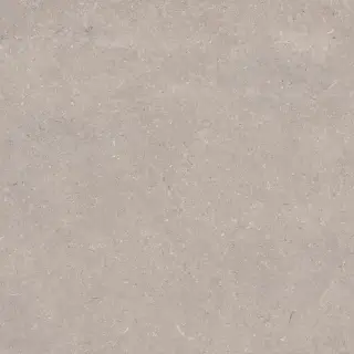 PORCELANOSA CORAL TOPO L 120х120 G-392