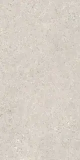 PERONDA MANHATTAN SILVER AS C/R 60х120 BN-116