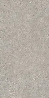 PERONDA MANHATTAN GREY AS C/R 60х120 BN-116