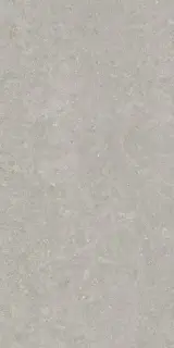 PERONDA GHENT GREY AS 60х120 BN-116