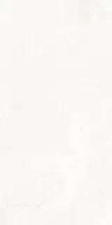 MUSEUM CHICAGO CLOUD NT 60х120x0.9 M-101