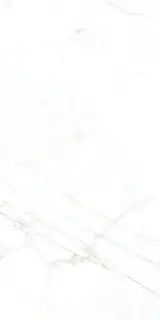 MUSEUM DUAL WHITE NT 60х120x0.9 M-101