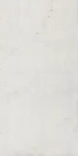 APAVISA CASSERO WHITE NATURAL 59.55х119.3х7 G-1304