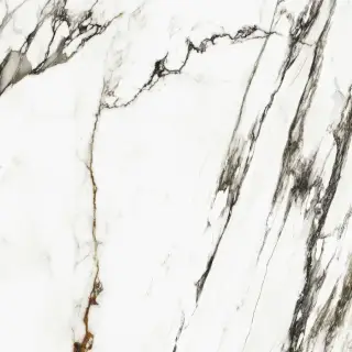 PORCELANOSA XLIGHT PAONAZZO BIONDO SILK 120х120х6 G-2531