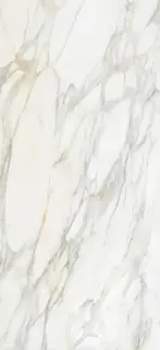 APAVISA BORGHINI WHITE POLISHED 119.3х260 G-3467