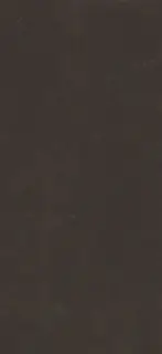 APAVISA ST. VINCENT ANTHRACITE NATURAL 119.3х260x6.5 G-3381