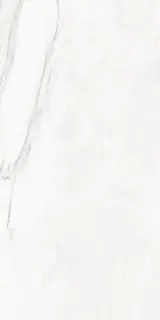 COLORKER DA VINCI WHITE POLISHED 60х120 M-79