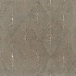 APARICI SHAGREEN COFFEE LAPPATO 59.55х59.55 G-3392