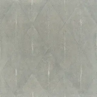 APARICI SHAGREEN GREY LAPPATO 59.55х59.55 G-3392