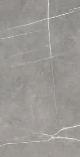 COLORKER NOMADE ARGENT 59.5х119.2 M-83