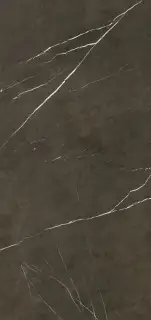 APAVISA PIETRA GREY POLISHED 119.3х260 G-3459