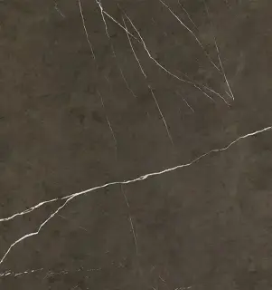 APAVISA PIETRA GREY POLISHED 119.3х119.3 G-3459