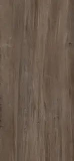 APAVISA JUNOON BROWN NATURAL 119.3х260 G-3391