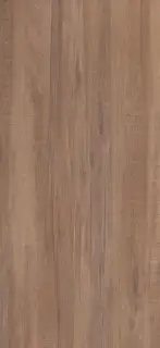 APAVISA JUNOON MAPLE NATURAL 119.3х260 G-3391