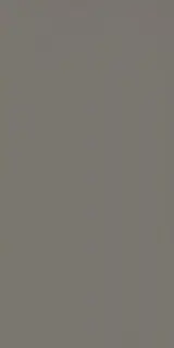 EQUIPE EVOLUTION GRIS OSCURO 7.5х15 EQ-0