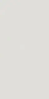 EQUIPE EVOLUTION GRIS CLARO 7.5х15 EQ-0