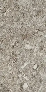 MIRAGE GRA RR 02 NAT SQ 120х278х0.6