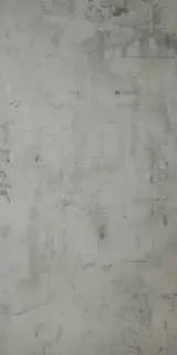 APAVISA REGENERATION GREY NATURAL 44.63х89.46 G-1284