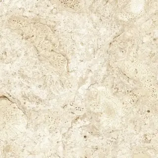 GRESPANIA COVERLAM CORALINA BLANCO 120x120x5.6