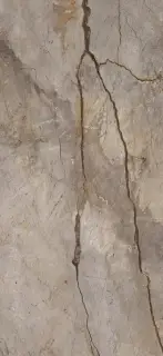 APAVISA WILD FOREST GREY POLISHED BL-B 119.3х260 G-3495