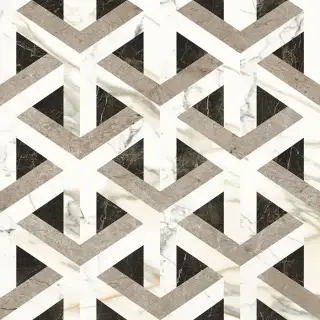 APAVISA WILD FOREST DECOR POLISHED 59.55х59.55 G-1314