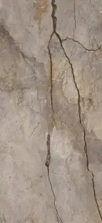 APAVISA WILD FOREST GREY NAT MIX 119.3х260 G-3397