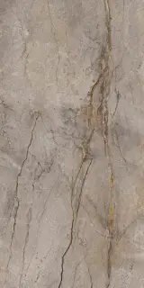 APAVISA WILD FOREST GREY POLISHED 59.55x119.3 G-1442