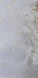 PORCELANOSA SOCHI BLANCO PULIDO 59.6х120 G-389