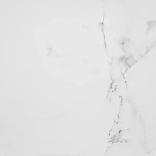 PORCELANOSA CARRARA BLANCO BRILLO L 59.6х59.6 G-347