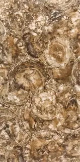 APAVISA PETRIFIED WOOD POLISHIED 59.55х119.3 G-1442